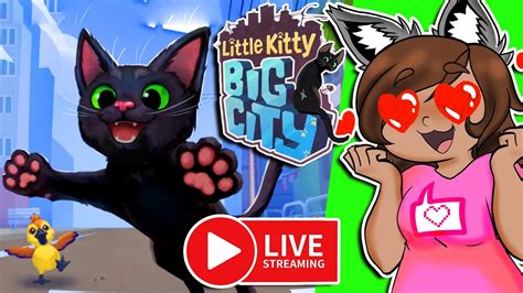 spankbang kitty|kt25 Playlist .